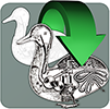 Media Copy 4.0 icon